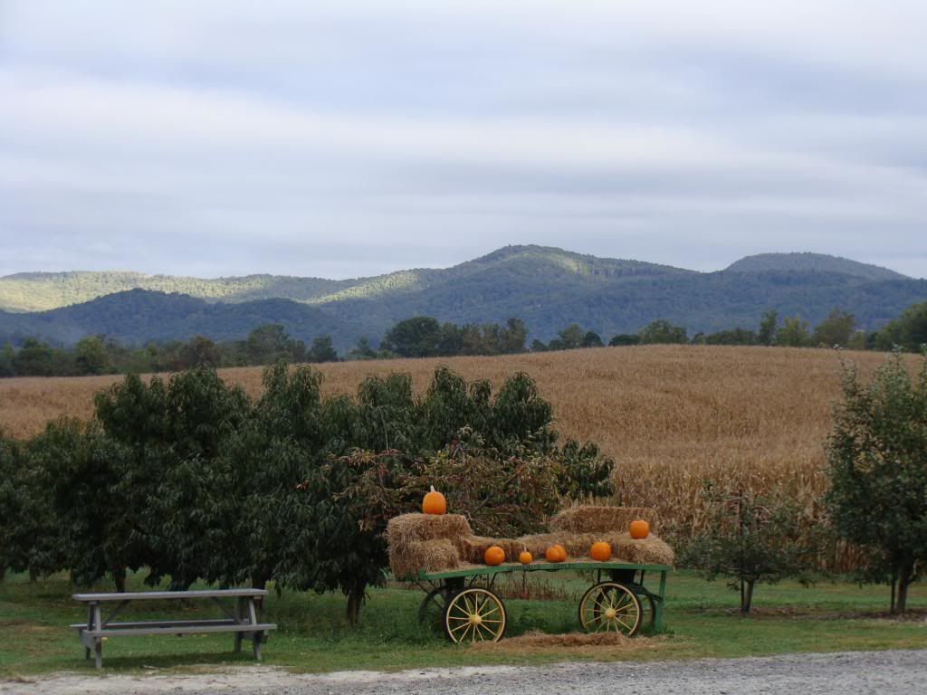  photo DSC06394_zps28ed1687.jpg