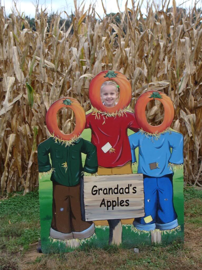  photo DSC06396_zps62848c81.jpg