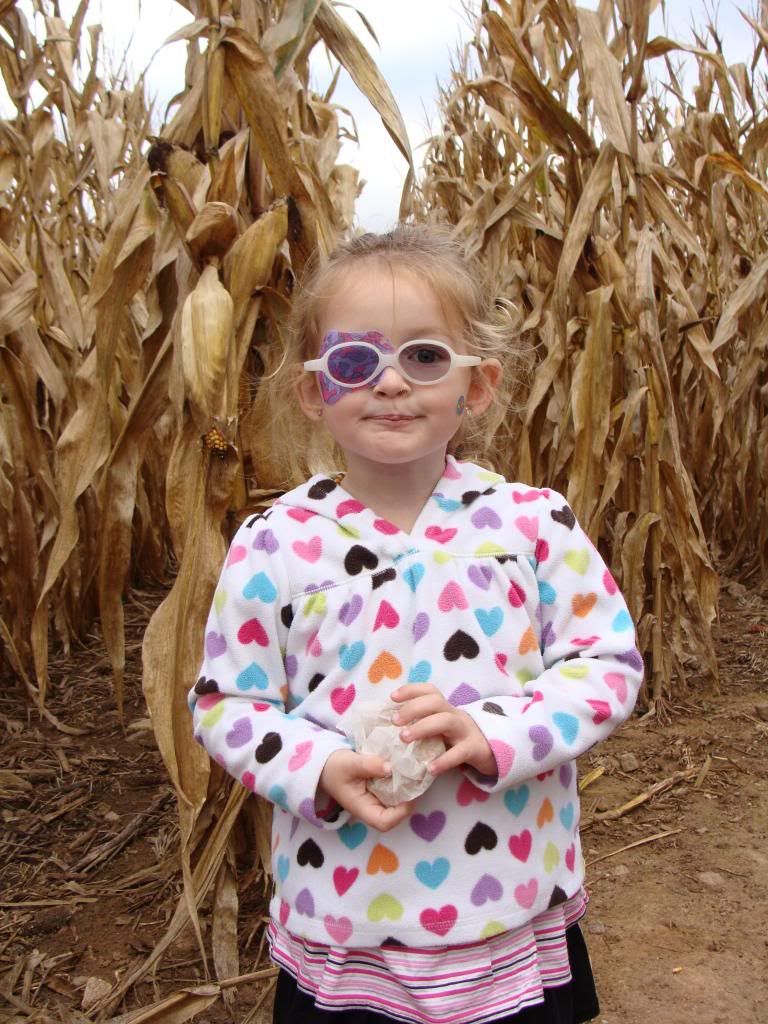  photo DSC06405_zps8342bad4.jpg