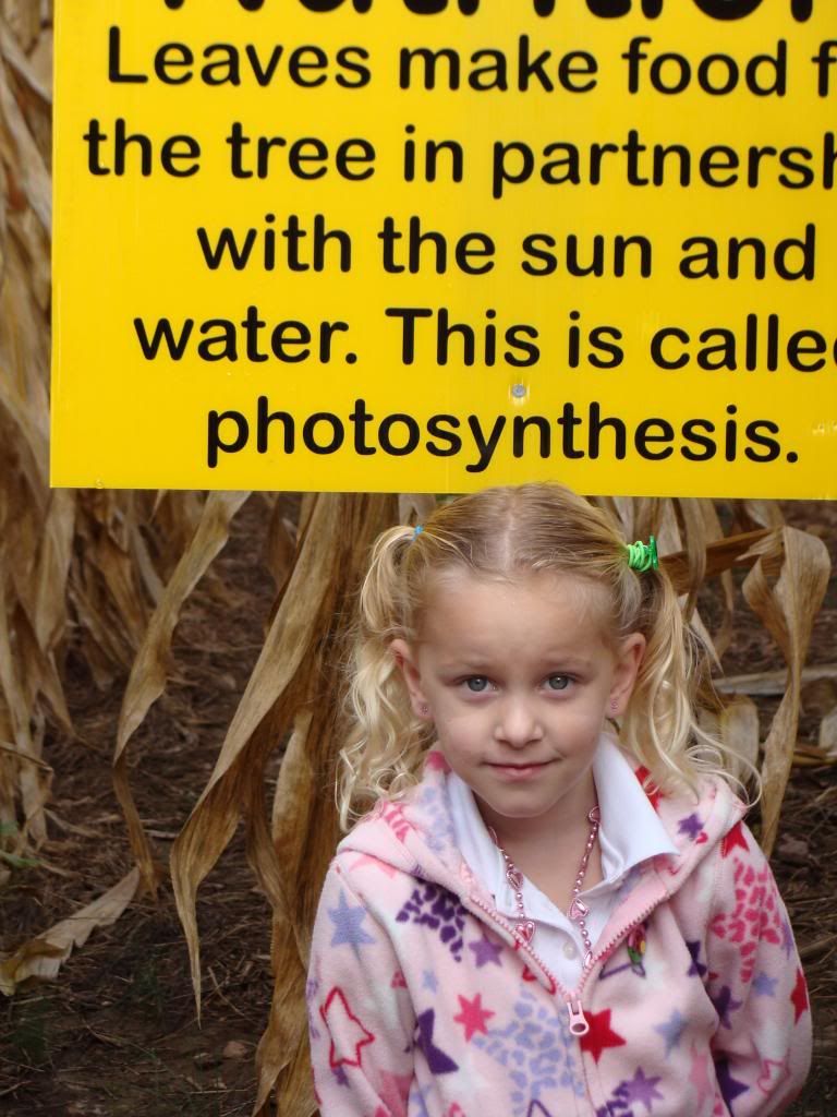  photo DSC06416_zps0614e8b6.jpg