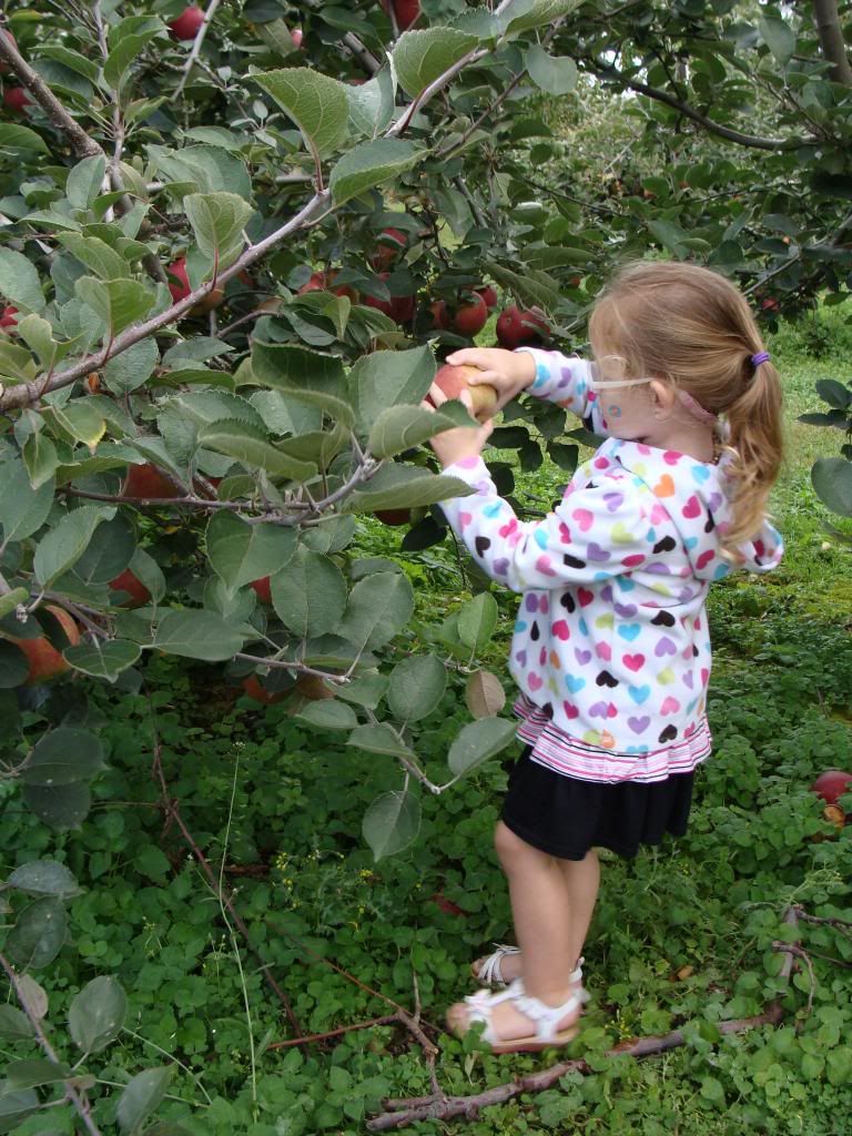  photo DSC06422_zpsf0b3efee.jpg