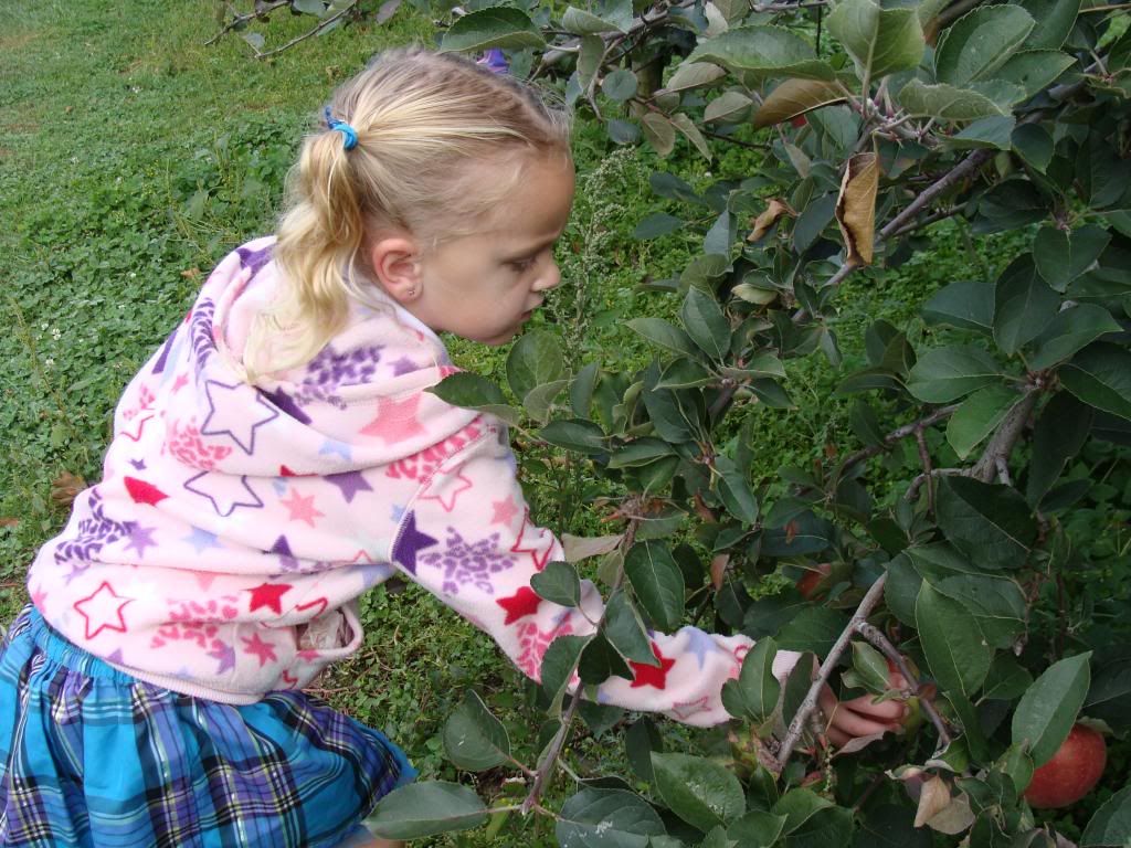  photo DSC06423_zps305e8e44.jpg