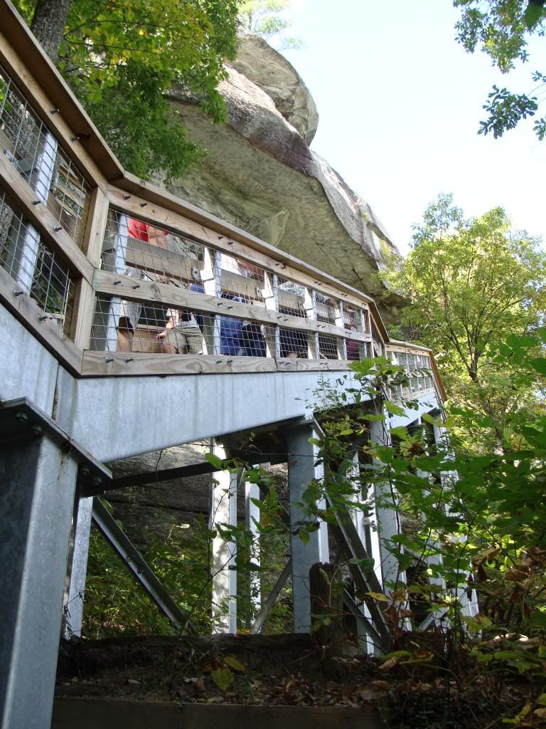  photo DSC06456_zps7cae4575.jpg