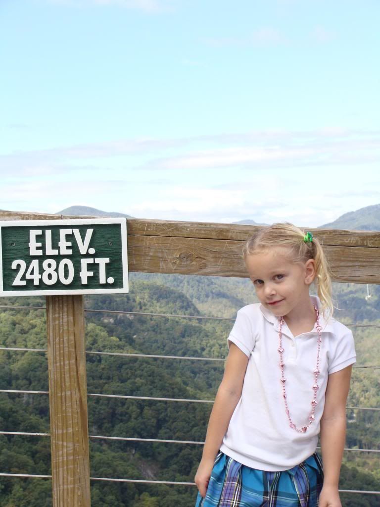  photo DSC06483_zps563e9b45.jpg