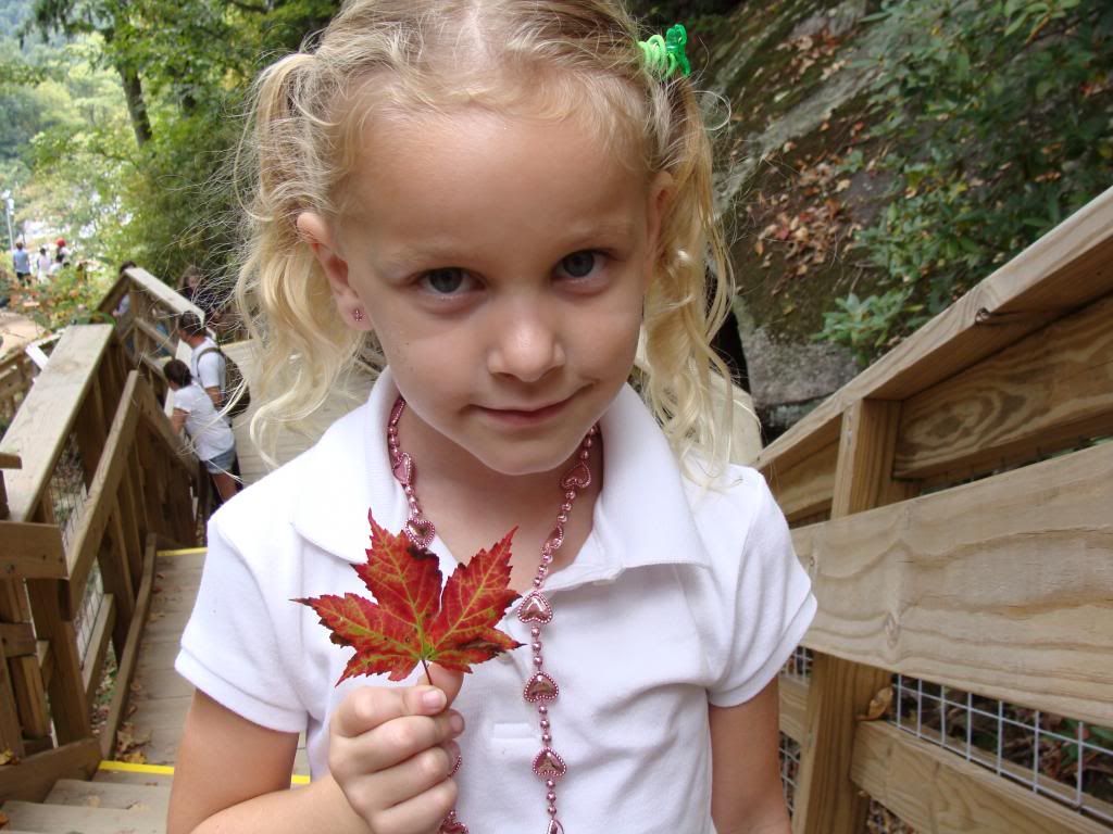  photo DSC06484_zpsae18aaf3.jpg