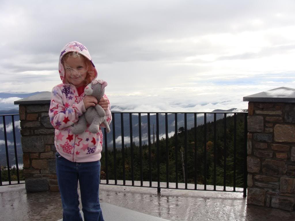  photo DSC06532_zpsd931a9d5.jpg