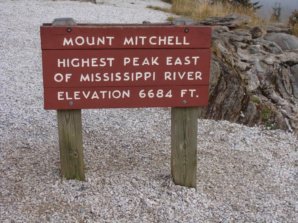  photo DSC06537_zps1f600b19.jpg