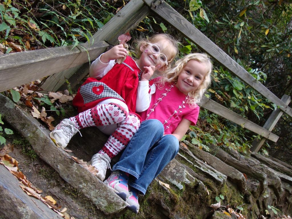  photo DSC06556_zpsbf582f30.jpg