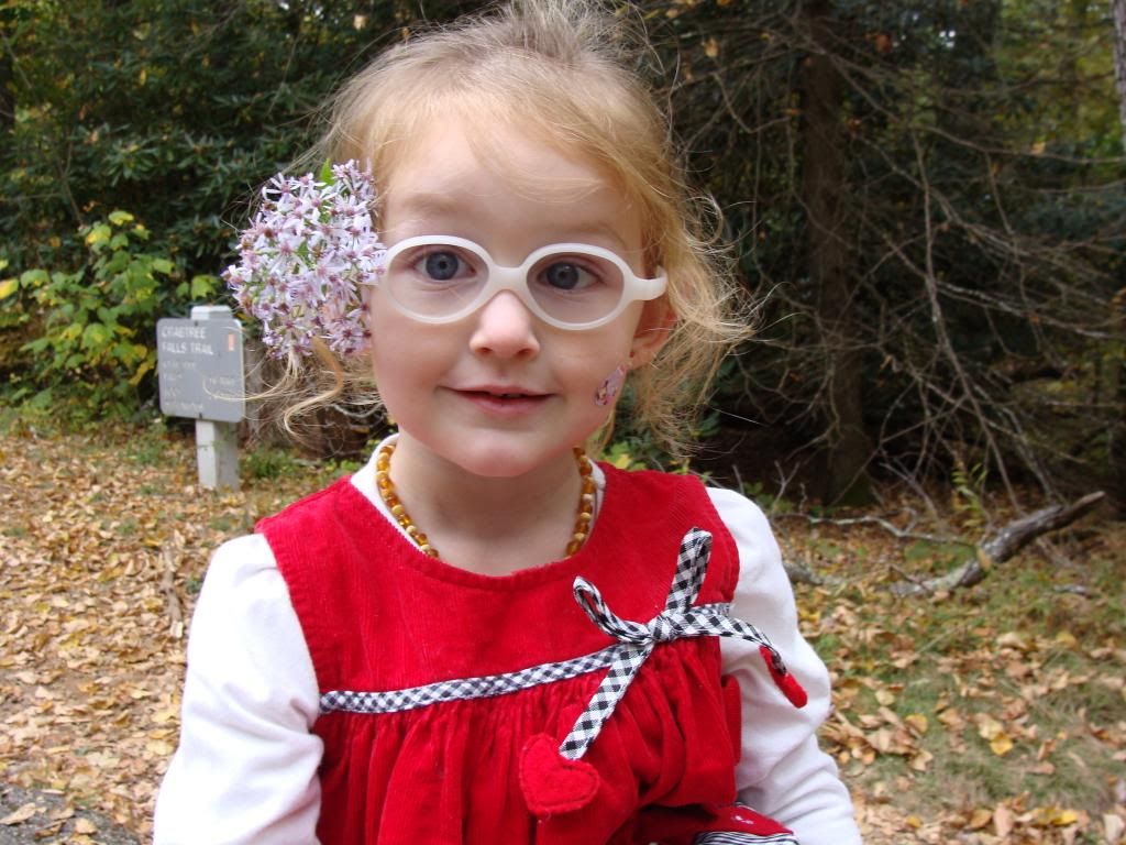  photo DSC06571_zps89b6bbb0.jpg