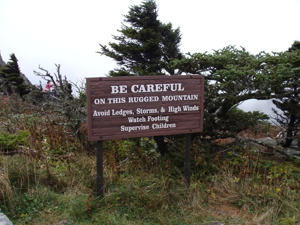  photo DSC06573_zpse0c3ed0a.jpg