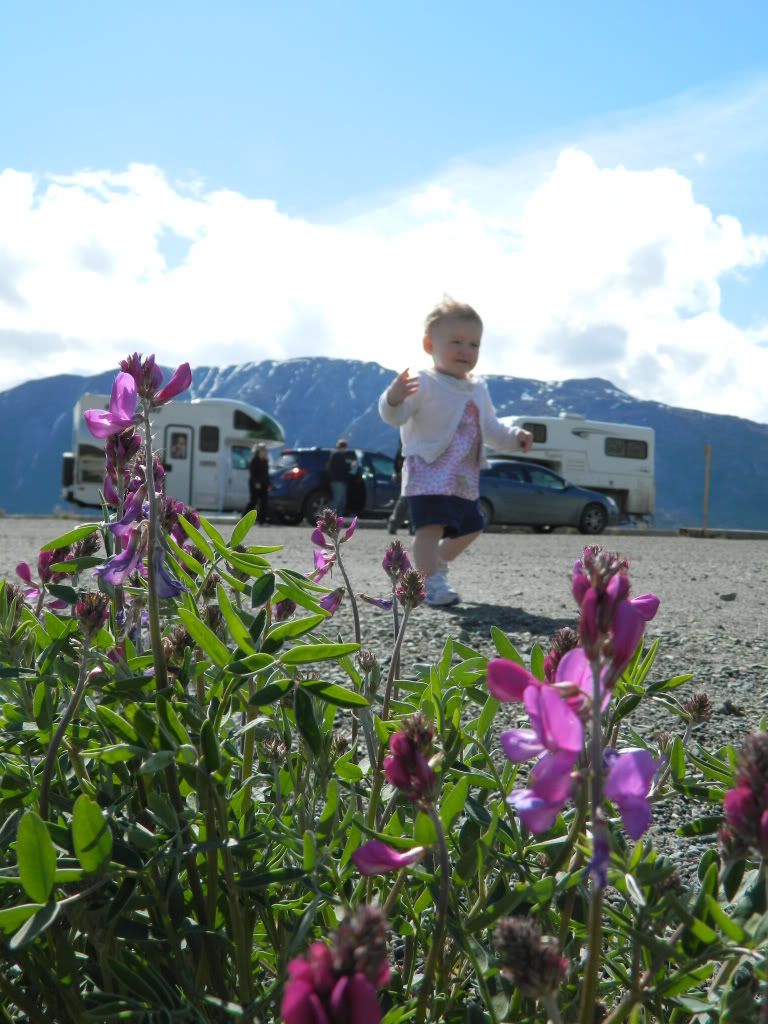 Stopping to smell flowers