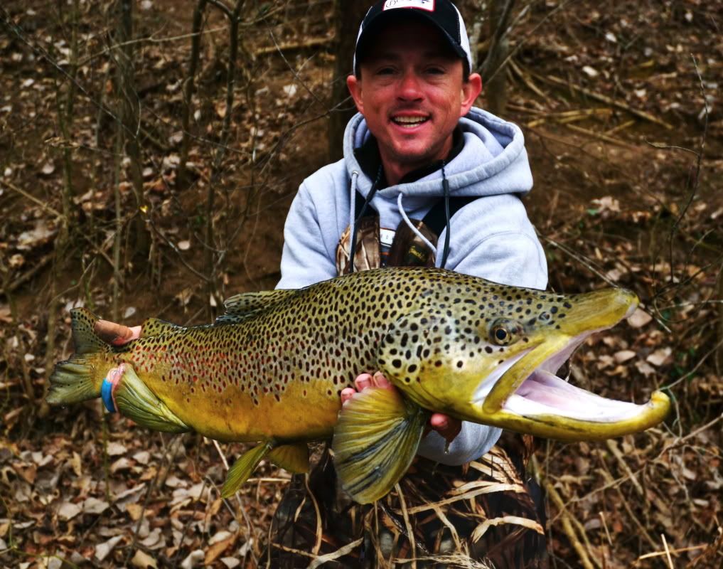 ARTICULATED STREAMER TYING CLASS _ 121 The Ozark Fly Fisher Journal