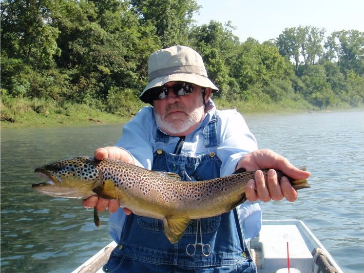 Big Brown On Dry Fly The Ozark Fly Fisher Journal