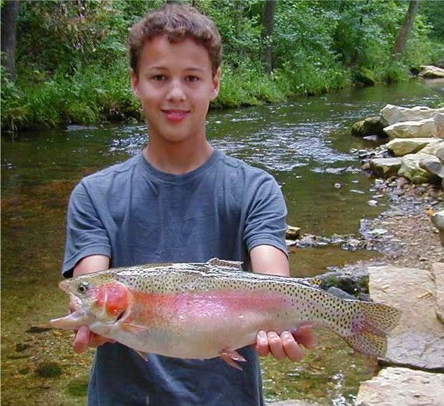 Dry Run Creek Fishing At Its Best The Ozark Fly Fisher Journal