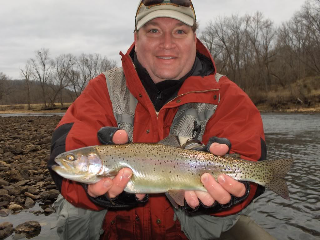 Jerrys Norfork Rainbow