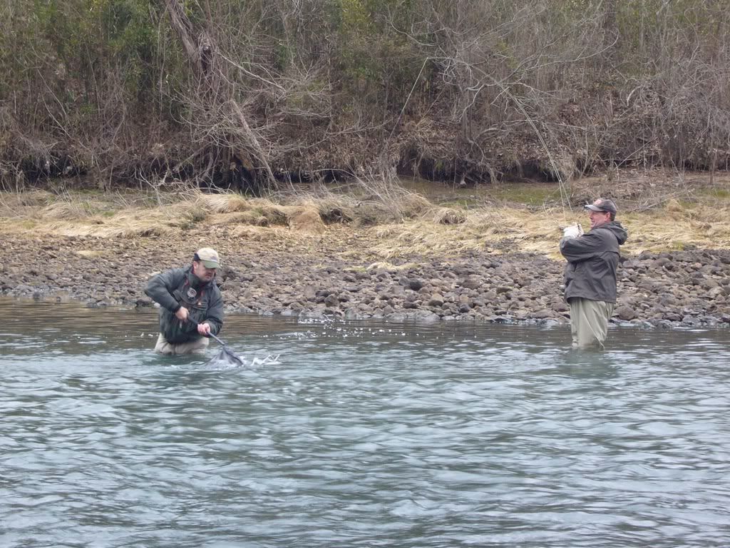 Netting on Norfork