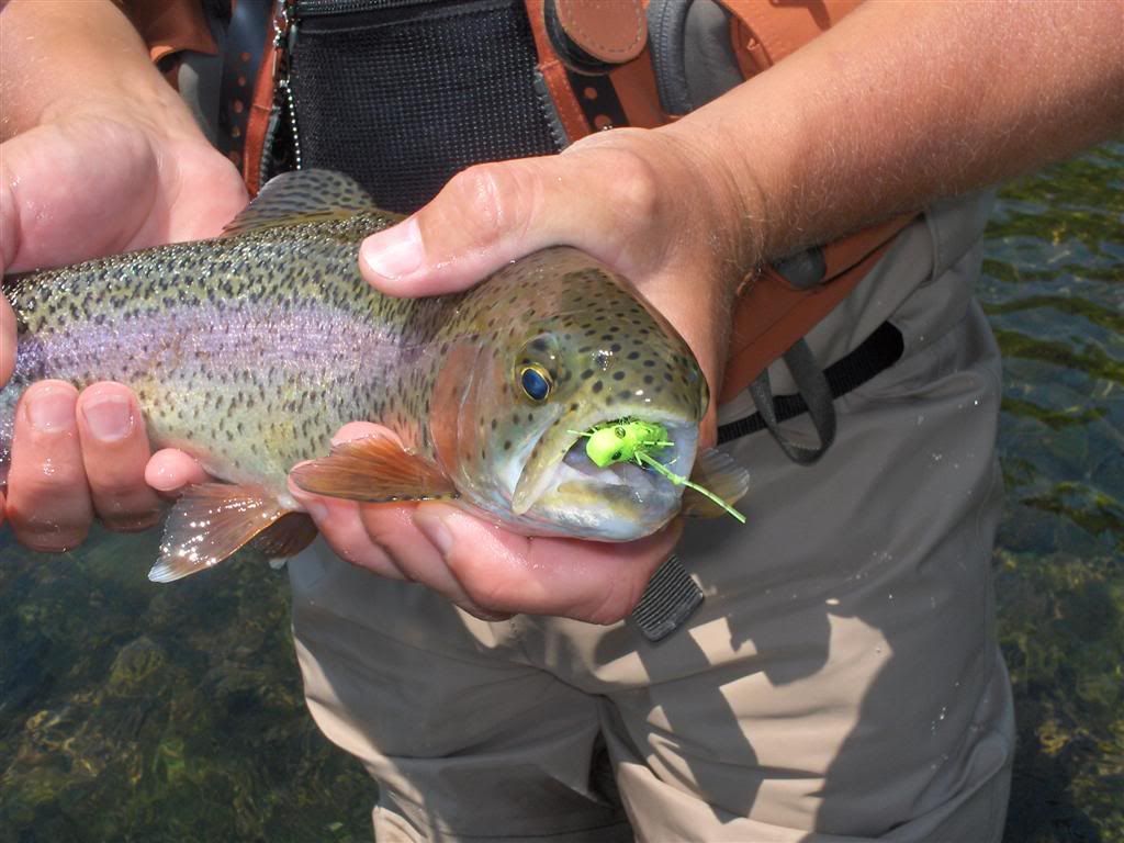 Roberts first fish on dry