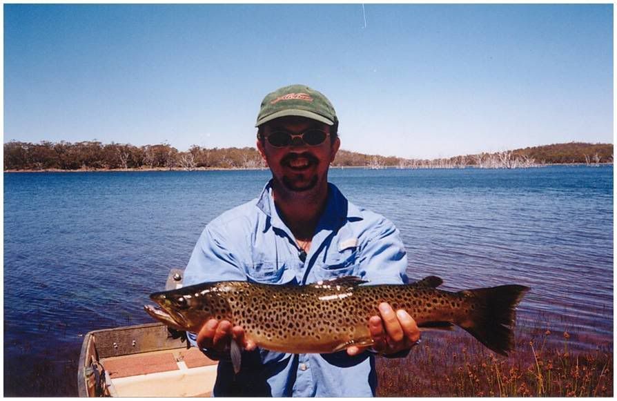 the formative years - wild Tasmanian brown trout