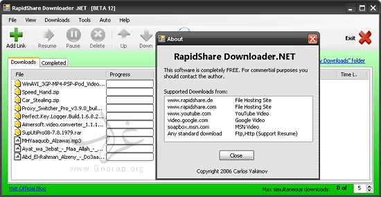 حمل بأقصى سرعة من رابيدشير كمستخدم مجانى . Rapidshare Downloader.NET