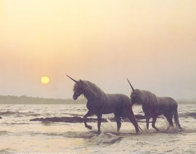 last-unicorns.jpg