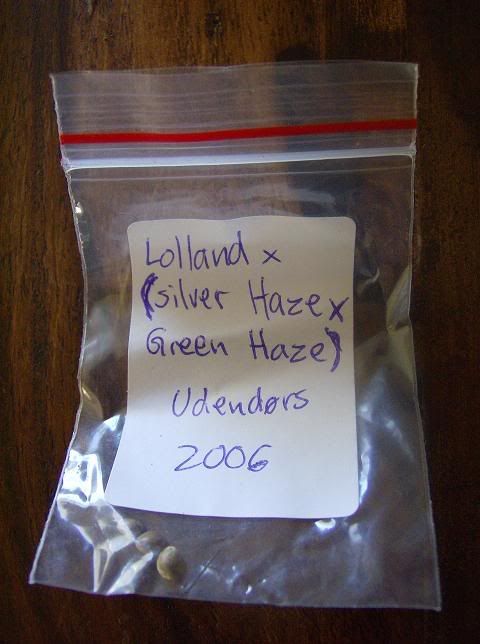 Billede