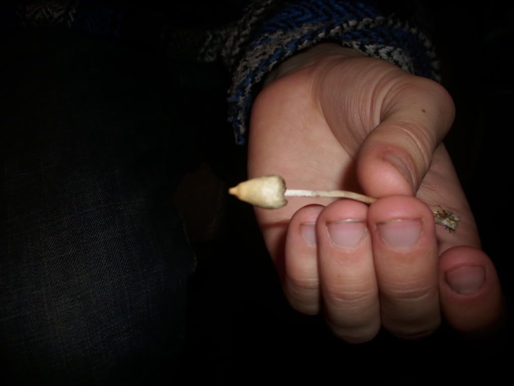 Billede