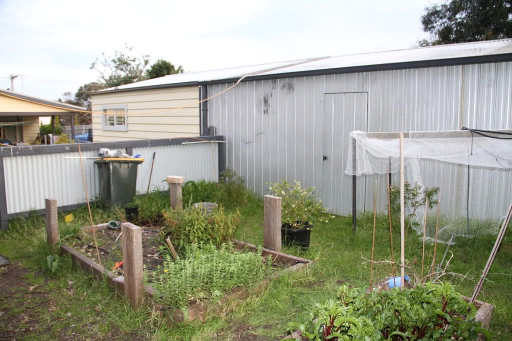 Backyard Aquaponics • View topic - SnowT System Build..