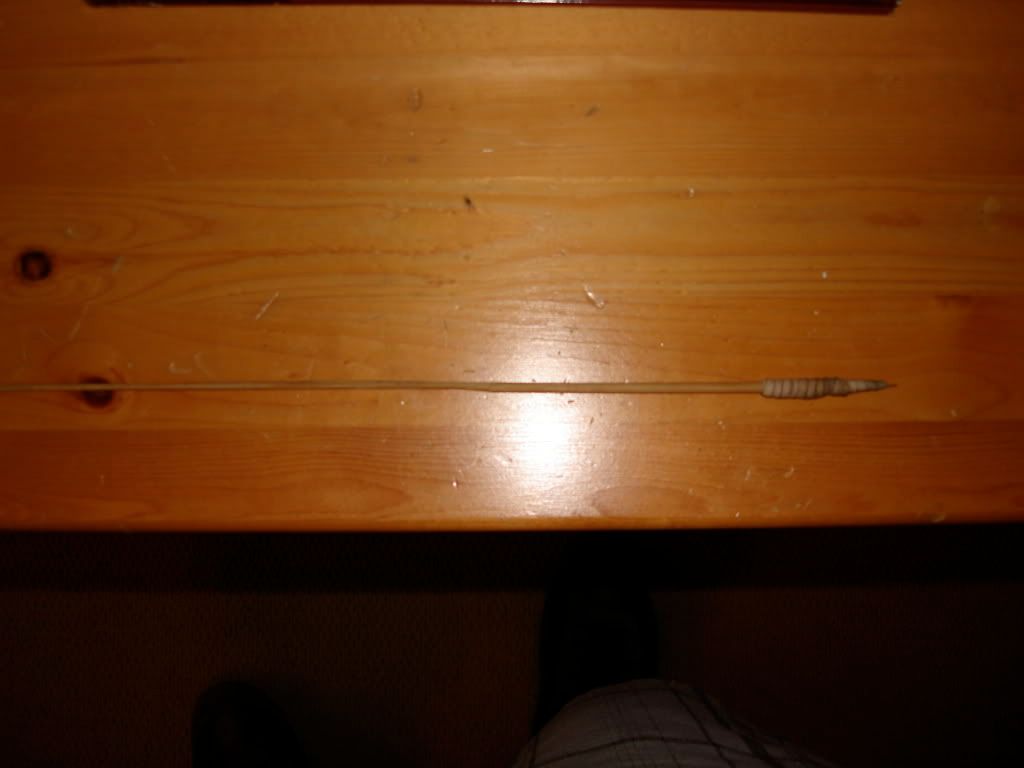 https://i200.photobucket.com/albums/aa179/reddhedd93/DSC01592.jpg