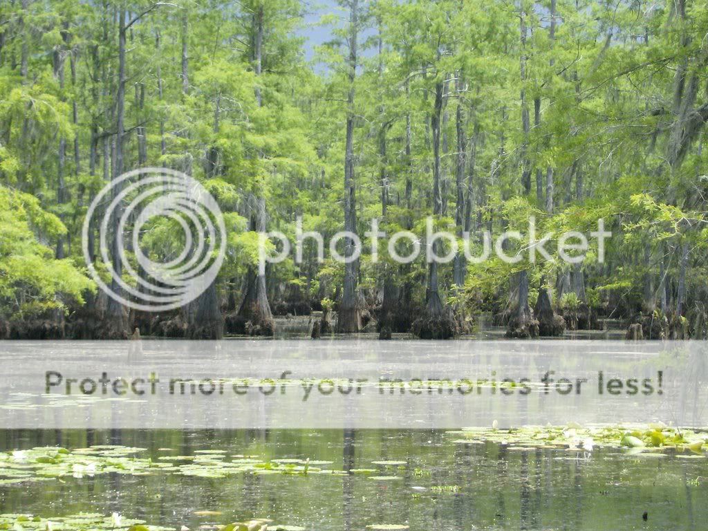 IATT LAKE DRAINED picts