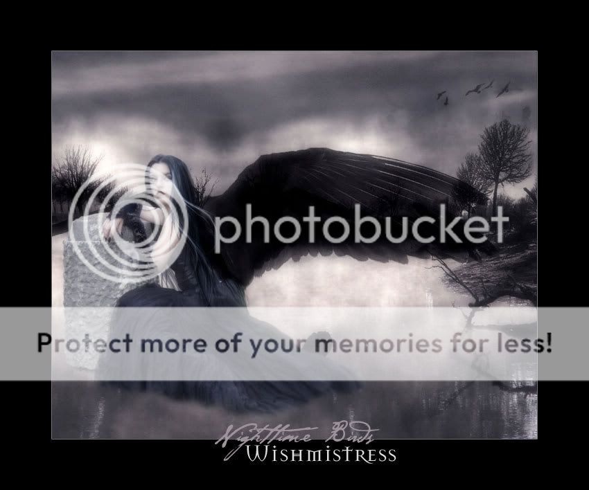 Photo Sharing and Video Hosting at Photobucket