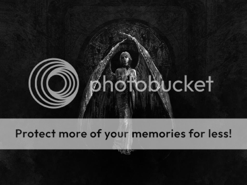 Photo Sharing and Video Hosting at Photobucket