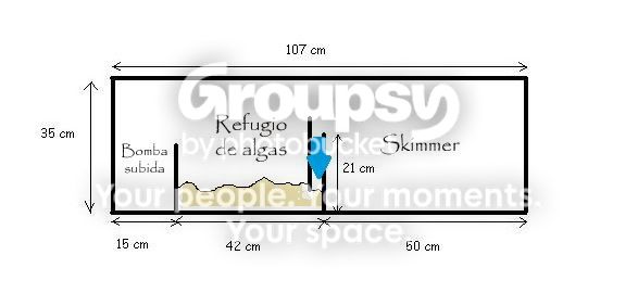 [TodoMarino.com] Diseño de sump