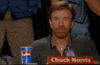 Chuck_Norris_Approves