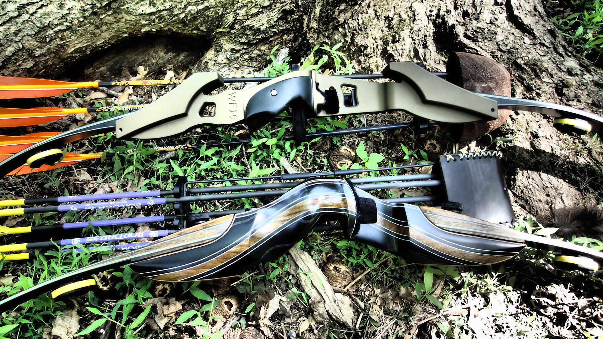 CD Archery WF 19 & Border Archery Hex 7 H Limbs (VIDEO) | Page 3 ...