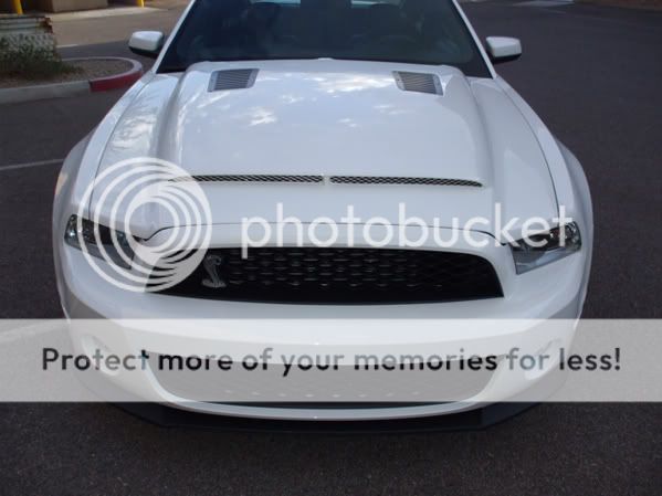 2010 2011 2012 Ford Mustang GT500 Black Mamba Ram Air Hood  