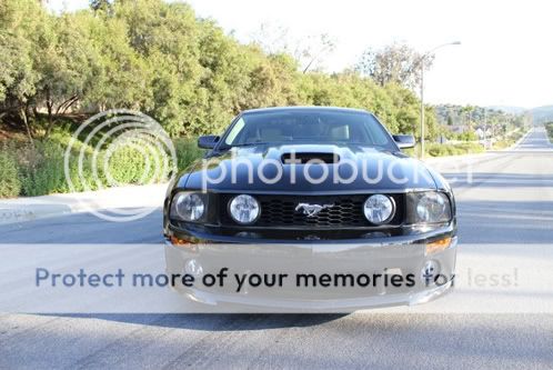 2005 Ford mustang pre-ordered status