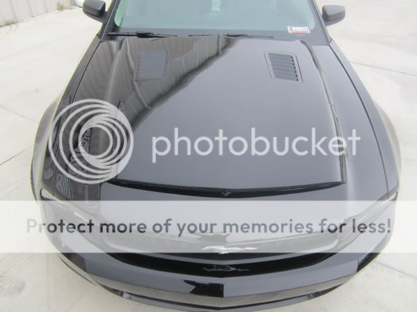 2010 2011 2012 Ford Mustang GT V8 V6 Black Mamba II RAM Air Performance Hood