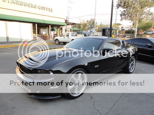 2010 2011 2012 Ford Mustang GT500 Black Mamba RAM Air Hood