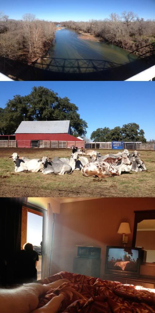 photo 541TX.jpg