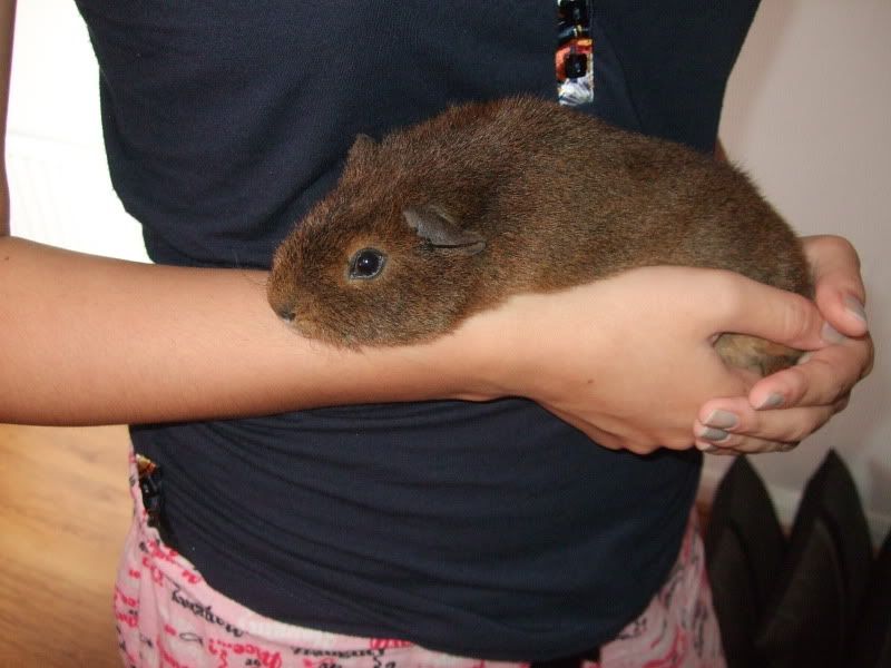 DSCF2737.jpg