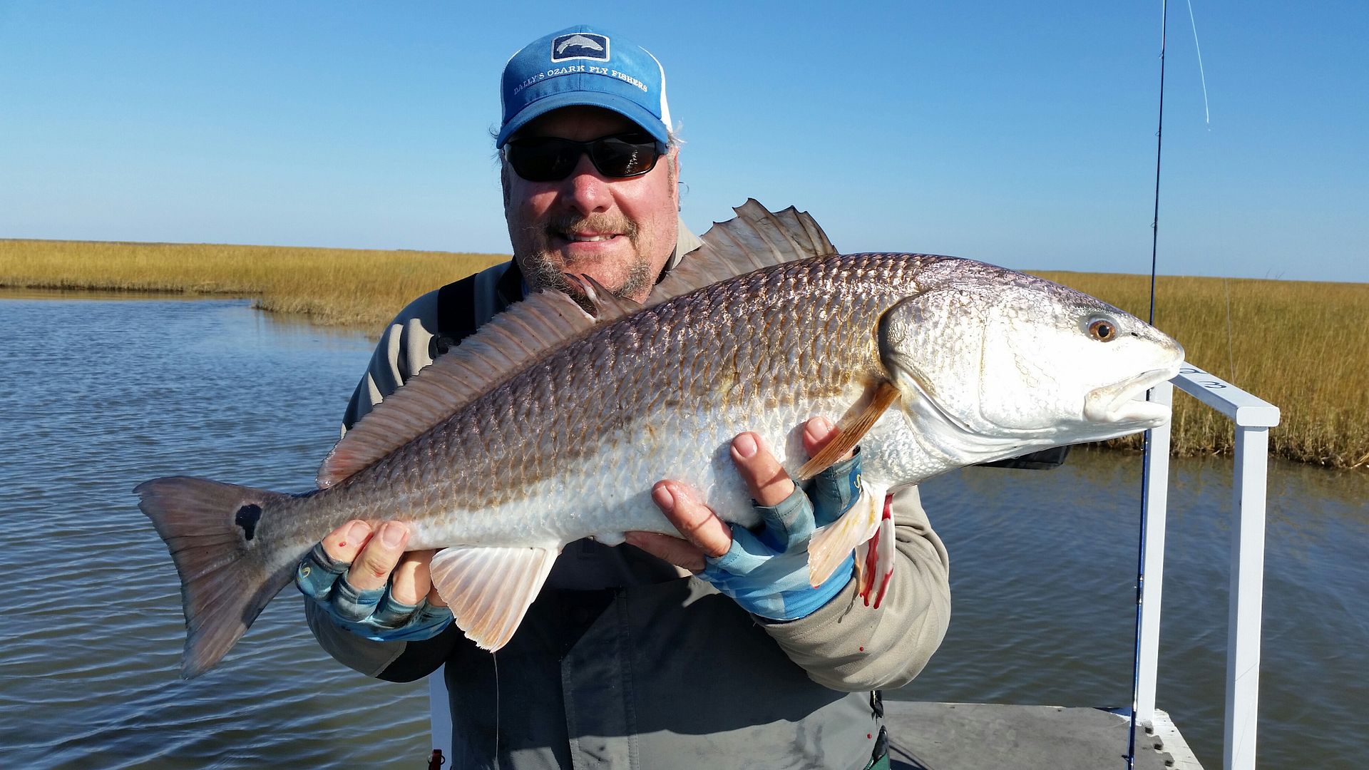 Louisiana Redfish _ Bill Thorne Report – The Ozark Fly Fisher Journal