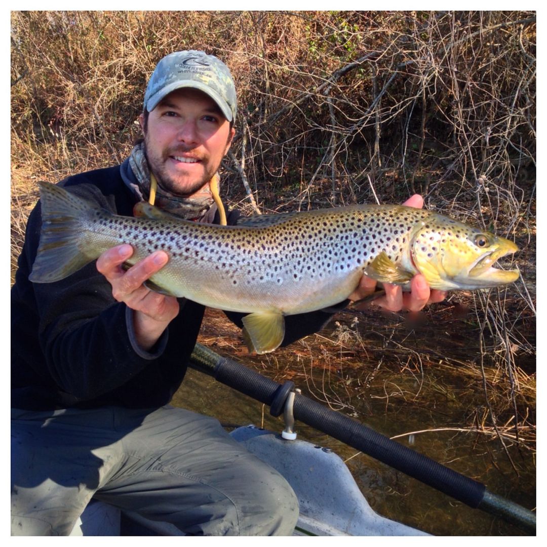 Streamer Week Fly Fishing Report _ January 30 – The Ozark Fly Fisher ...